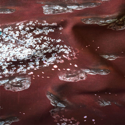 Prodotto intessuto tessuto molle del vestito dalla camicia dell'abbigliamento di Tulle Tencel di miscela della saia del cotone